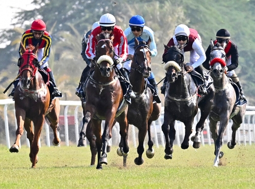 Stage set for Bahrain Turf Series thrills