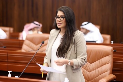 MP proposes new Parliament committee on long-term planning for disasters and crises MP proposes new Parliament committee on long-term planning for disasters and crises