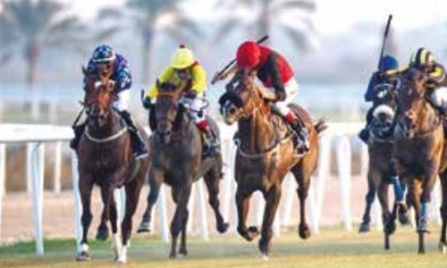 Local horseracing season set for off Local horseracing season set for off