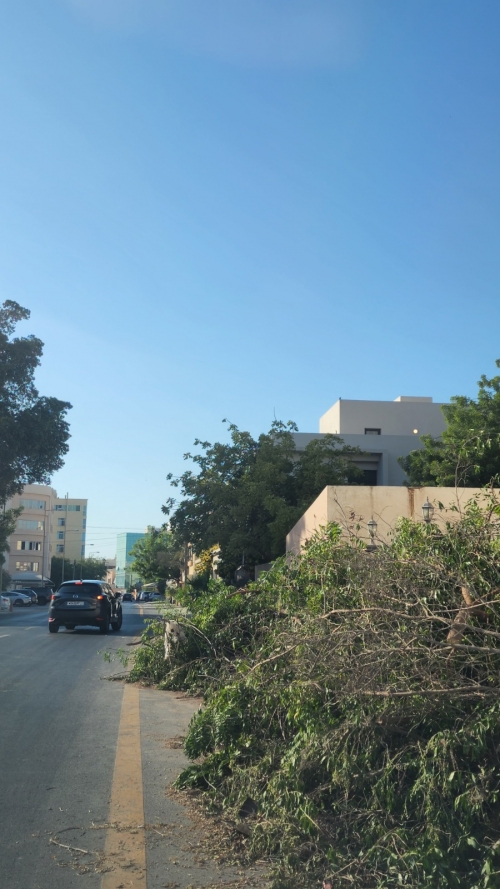 Homeowners Facing BD 100 Fine for Not Pruning Trees