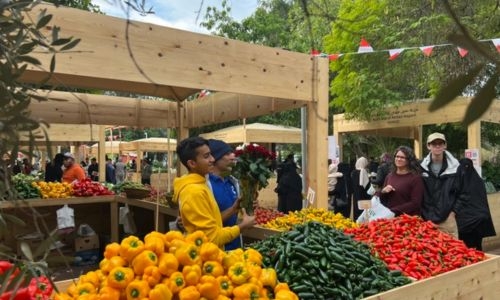 Bahraini Farmers’ Market concludes, draws over 250,000 visitors in four months Bahraini Farmers’ Market concludes, draws over 250,000 visitors in four months