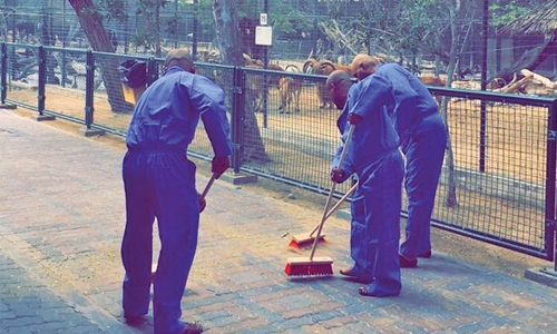 Trio ordered to clean Dubai zoo for killing cat
