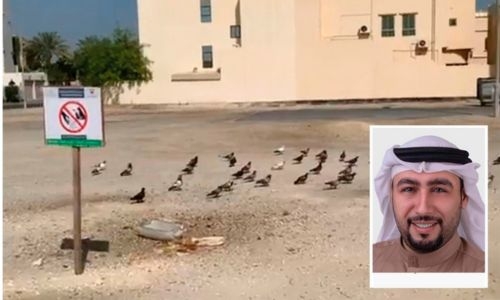 Muharraq Municipality imposes BD300 fine for feeding birds, animals in public places