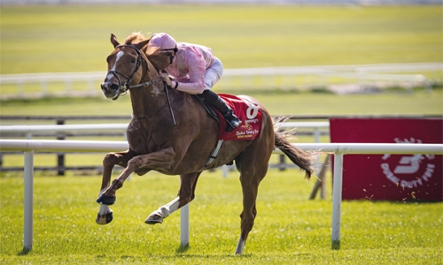 Horses arrive for Bahrain International Trophy