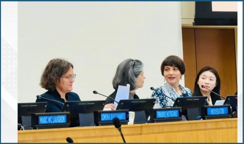 Bahrain Champions AI in Dispute Resolution at UN