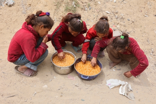 Gaza faces ‘critical risk of famine’: UN report 