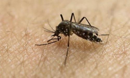Travellers to be under close surveillance for Zika virus