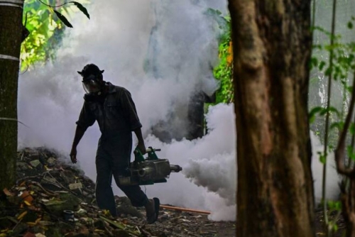Sri Lanka troops to battle deadly dengue mosquitoes as cases rise 
