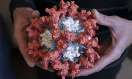 Covid-19 cases falling everywhere, except Americas and Africa: WHO Covid-19 cases falling everywhere, except Americas and Africa: WHO