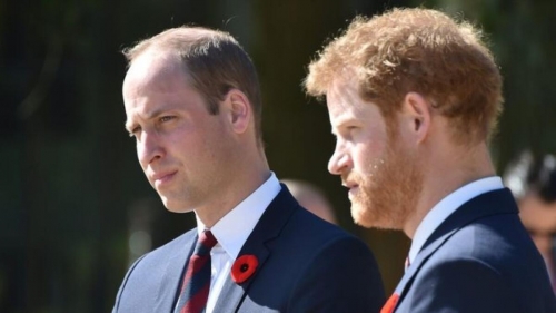 Princes William and Harry to mark Diana anniversary in private, separately Princes William and Harry to mark Diana anniversary in private, separately
