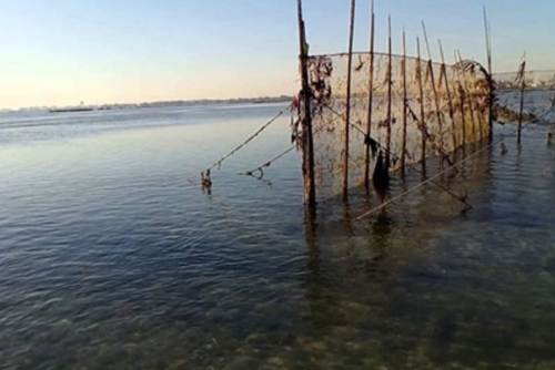 Bahrain cracks down on harmful fishing practices