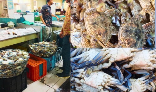 Crabs Return to Markets