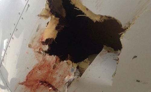 Bird strike leaves hole in plane while landing