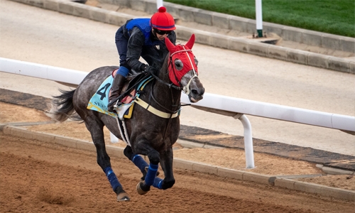 Bahrain horses put on spirited challenge in Saudi Cup race