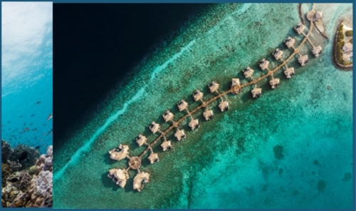 InterContinental Maldives Maamunagau Resort Announces 2026 Manta Retreat