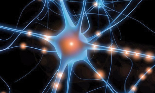 light pulses can control neuron activity light pulses can control neuron activity
