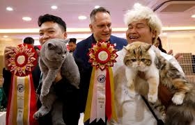 Fancy felines hit Hanoi for first ever cat show