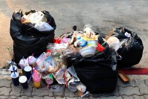BD300 fine for rubbish left outside bins 