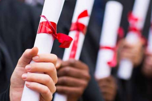 Six Months Jail for Forged Degree Use, Followed by Deportation Six Months Jail for Forged Degree Use, Followed by Deportation