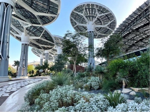 Desert Group to Highlight Green Innovations at Myplant & Garden ME 2025