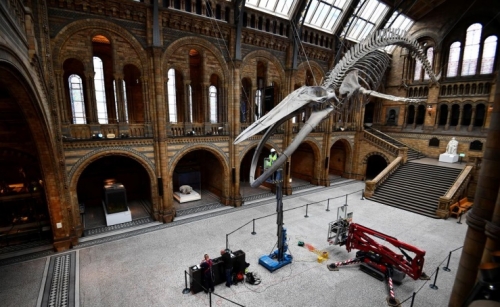 London's Natural History Museum prepares to re-open
