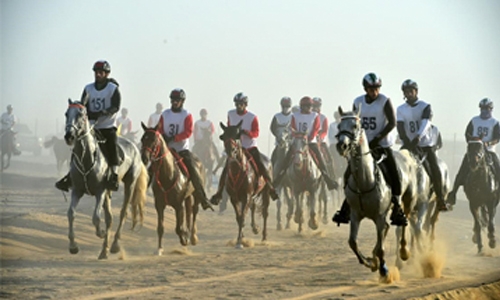 Bahrain to participate in Mohammed bin Rashid Endurance Championship Bahrain to participate in Mohammed bin Rashid Endurance Championship