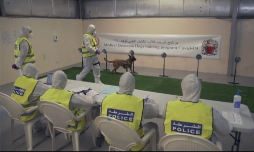 Police dogs to detect COVID-19 cases at Bahrain ports