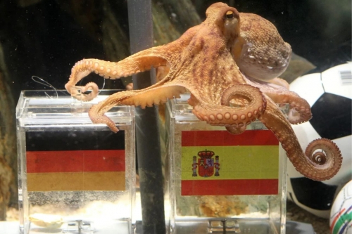 AI replaces Paul the Octopus for 2026 World Cup tips