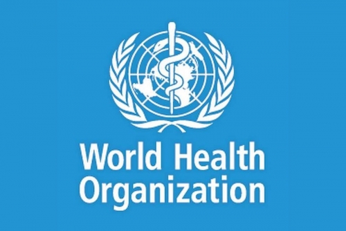 WHO suspends Gaza medical evacuations after contract worker killed WHO suspends Gaza medical evacuations after contract worker killed