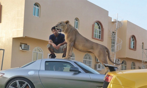 Emiratis banned from keeping wild pets