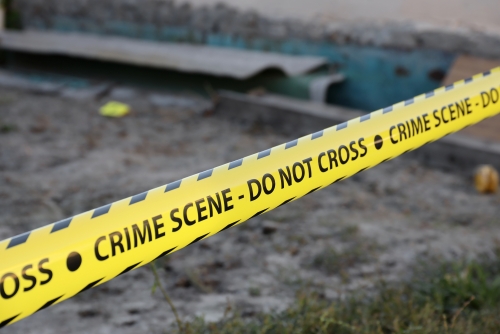 Ecuador police find eight dismembered bodies at illegal mine Ecuador police find eight dismembered bodies at illegal mine