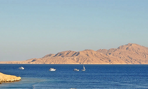 Egypt lifts block on island transfer Egypt lifts block on island transfer