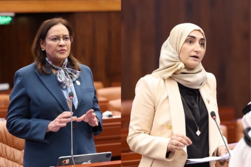 Health tourism visa and new supervising committee included in Shura draft law 