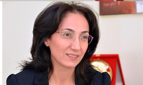 Istanbul to host Turkey-GCC Economic, Investment Forum in Dec: Ambassador