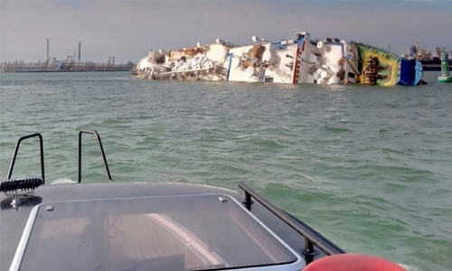 Ship bound for Saudi with 14,600 sheep aboard capsizes off Romania