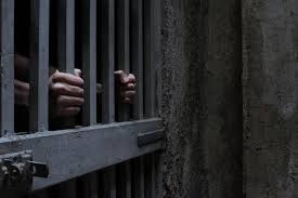 Closing arguments due in terror cell trial 