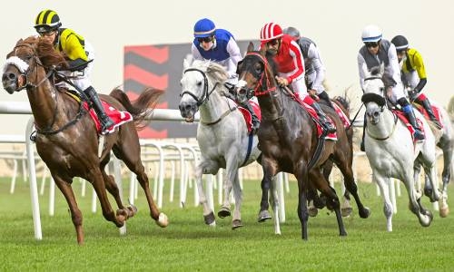 Bahrain Turf Series returns to action at REHC