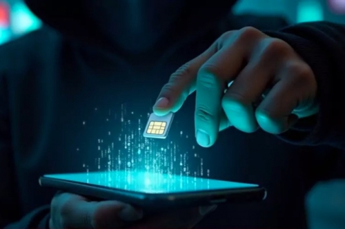 SIM swap scam leads to prison term 