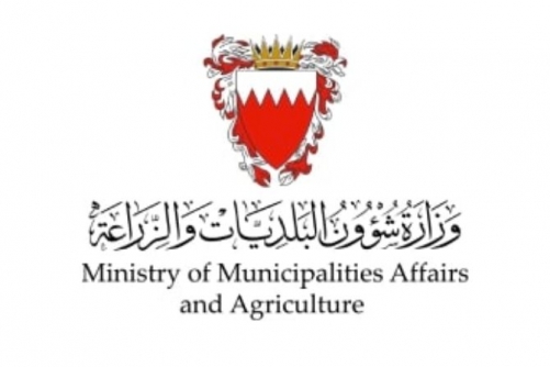 Municipal measures enhance services 