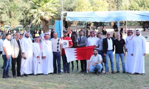 Bahrain clinch outstanding results in horse beauty championship
