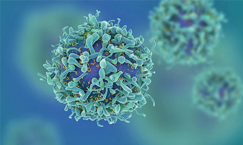 Novel therapy drives cancer cells to commit suicide