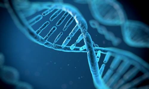 Scientists finally finish decoding entire human genome