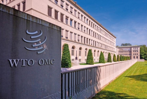 World Trade Organisation members urged to address needs of women entrepreneurs World Trade Organisation members urged to address needs of women entrepreneurs