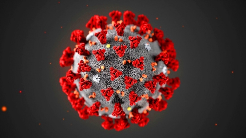 Eleven recover, 45 new COVID-19 cases