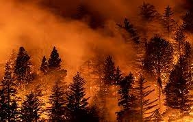 Smog blankets US West Coast as deadly wildfires rage Smog blankets US West Coast as deadly wildfires rage