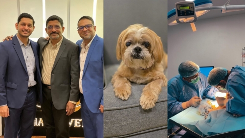 Bahrain marks milestone with first pet cataract surgery