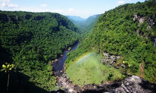 Football pitch of tropical forest lost every 5 seconds Football pitch of tropical forest lost every 5 seconds
