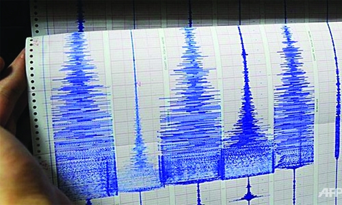 6.5-magnitude quake shakes southern Africa