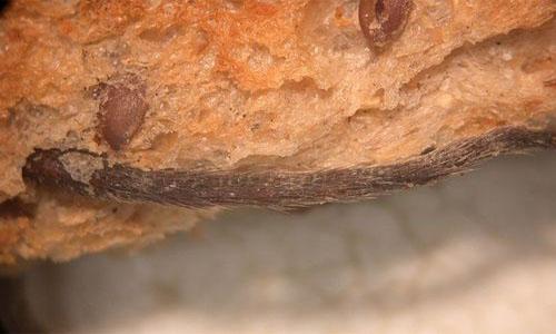 Bakery shut in Saudi for 'mouse tail on loaf' Bakery shut in Saudi for 'mouse tail on loaf'