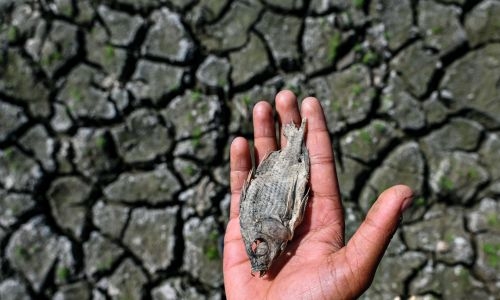 World sees first 12 months above 1.5°C warming level
